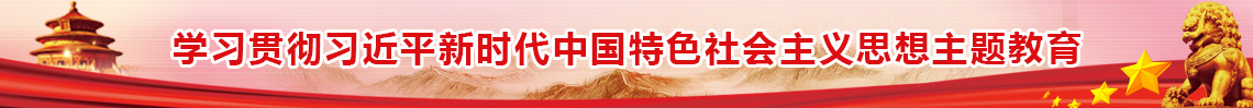 學習貫徹習近平新時代中國特色社會主義思想主題教育